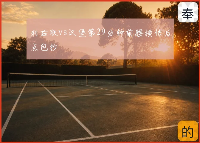 利兹联vs汉堡第29分钟前腰横传后点包抄