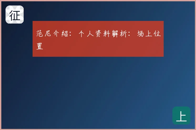范尼介绍：个人资料解析：场上位置